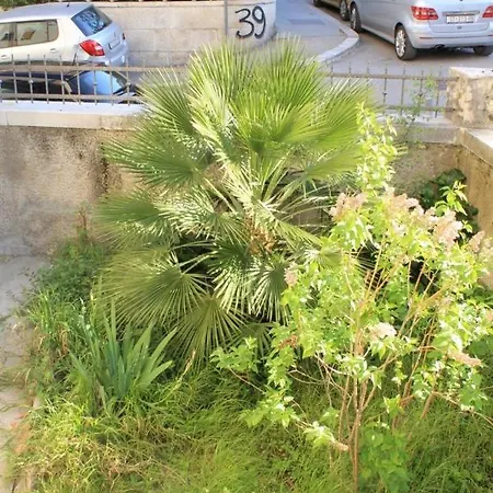 Apartament With Wifi - 7586