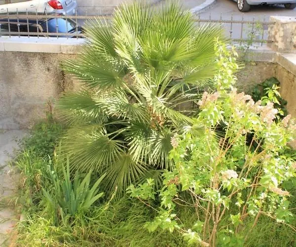 Apartamento With Wifi - 7586